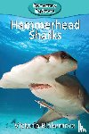 Blakemore, Victoria - Hammerhead Sharks
