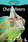 Blakemore, Victoria - Chameleons
