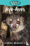 Blakemore, Victoria - Aye-Ayes