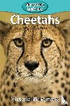 Blakemore, Victoria - Cheetahs