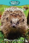 Blakemore, Victoria - Hedgehogs