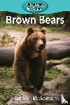Blakemore, Victoria - Brown Bears