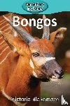 Blakemore, Victoria - Bongos