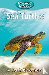 Blakemore, Victoria - Sea Turtles
