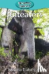 Blakemore, Victoria - Anteaters