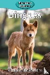 Blakemore, Victoria - Dingoes