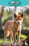 Blakemore, Victoria - Dingoes