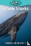 Blakemore, Victoria - Whale Sharks