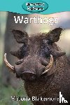 Blakemore, Victoria - Warthogs