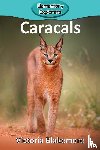 Blakemore, Victoria - Caracals