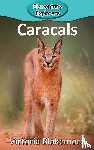 Blakemore, Victoria - Caracals