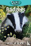 Blakemore, Victoria - Badgers
