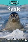 Blakemore, Victoria - Seals