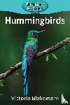 Blakemore, Victoria - Hummingbirds
