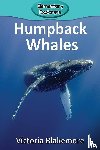 Blakemore, Victoria - Humpback Whales