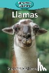 Blakemore, Victoria - Llamas