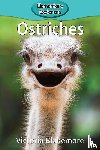 Blakemore, Victoria - Ostriches
