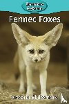 Blakemore, Victoria - Fennec Foxes