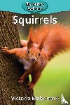 Blakemore, Victoria - Squirrels