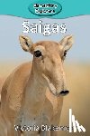 Blakemore, Victoria - Saigas