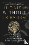 Shapiro, Rabbi Rami - Judaism Without Tribalism