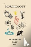 Fabri, Erica Miriam - Morphology