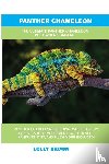 Brown, Lolly - Panther Chameleon
