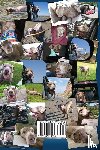 Wolff, Robert - I Know Why Dog Is GOD Spelled Backwards