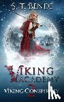 Bende, S. T. - Viking Academy: Viking Conspiracy