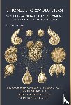 Austriaco, Nicanor, Brent, James, Davenport, Thomas - Austriaco, N: Thomistic Evolution