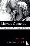Divine, Jeff, Divine, Shaleia - Llamas Gemelas