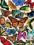 Beckstrand, Karl - Butterfly Blink