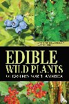 Fernald, Merritt L, Kinsey, Alfred C, Chadde, Steve W - Edible Wild Plants of Eastern North America