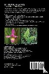 Chadde, Steve W - Wetland Plants of the Upper Midwest