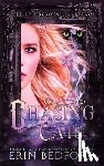 Bedford, Erin - Chasing Cats