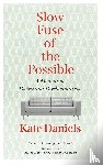 Daniels, Kate - Slow Fuse of the Possible