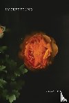 Rice, Kylan - Incryptions