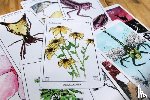 Wilson, David - Rust Belt Arcana (Tarot Deck)