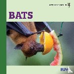 Woodbury M Ed, Rebecca - Bats
