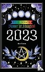 Cesari, Amy - Planner for a Magical 2023