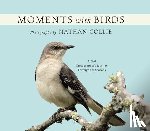 Collie, Nathan - MOMENTS W/BIRDS