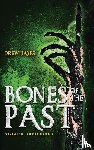 Hayes, Drew - Bones of the Past