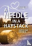 Gooden, Jameliah - A Needle in a Haystack