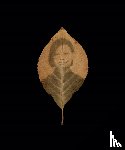 Danh, Binh - Binh Danh: The Enigma of Belonging