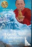 Shlim, David R - A Gentle Rain of Compassion