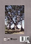 Dever, Mark - Nine Marks of a Healthy Church (Burmese)
