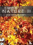 Warren, Robert - A Series in Nature III