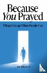 Dilena, Tim - Because You Prayed