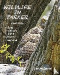 Mcdaniel, Joe - Wildlife In Parker