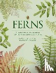 Li, Fay-Wei, Suissa, Jacob S. - Ferns
